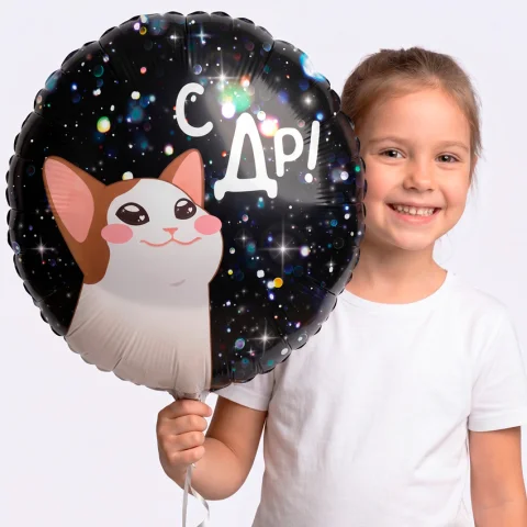 С Днём Рождения,котик. Фольгированный шар