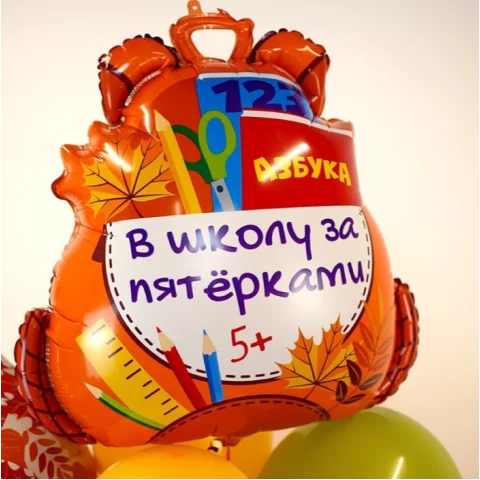 Фольгированный шар "В школу за пятерками"