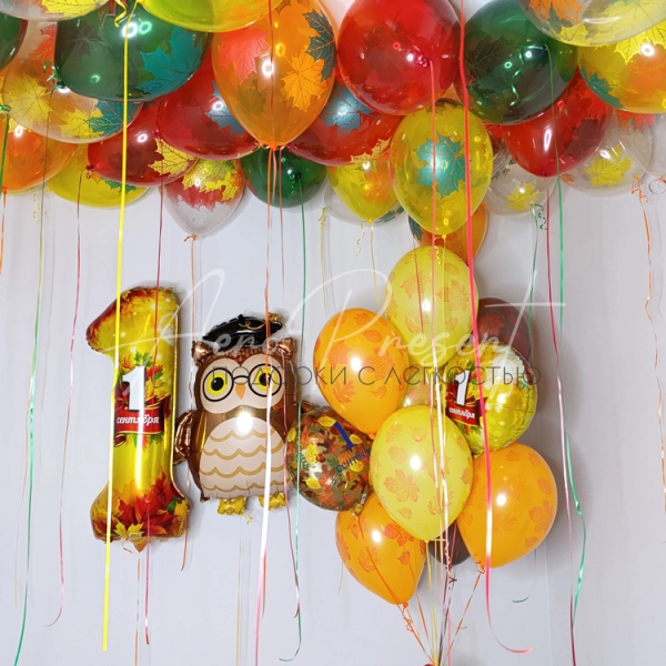 Набор шаров для оформления класса "Мудрость гласит"