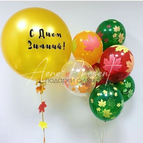 Набор с гигантом на день знаний