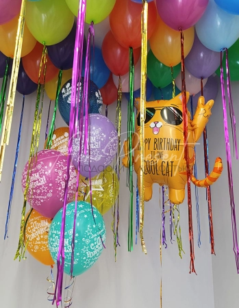 Набор шаров "Яркий котофей"