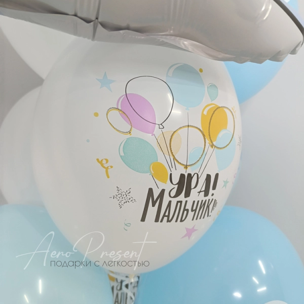 Набор шаров с дельфином на выписку мальчика