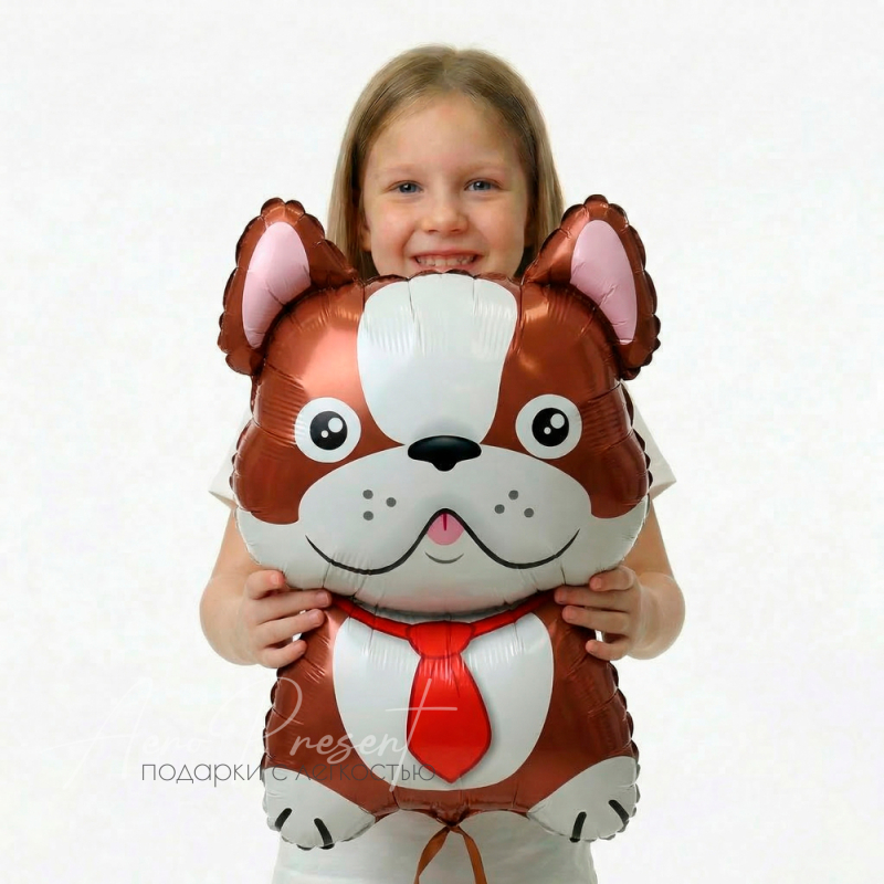 Бульдог коричневый, фольгированный шар