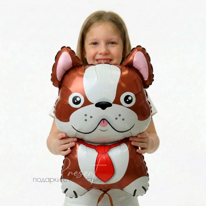 Бульдог коричневый, фольгированный шар