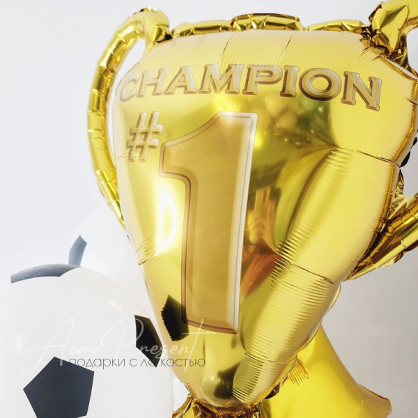 Набор "Чемпиону футбола"