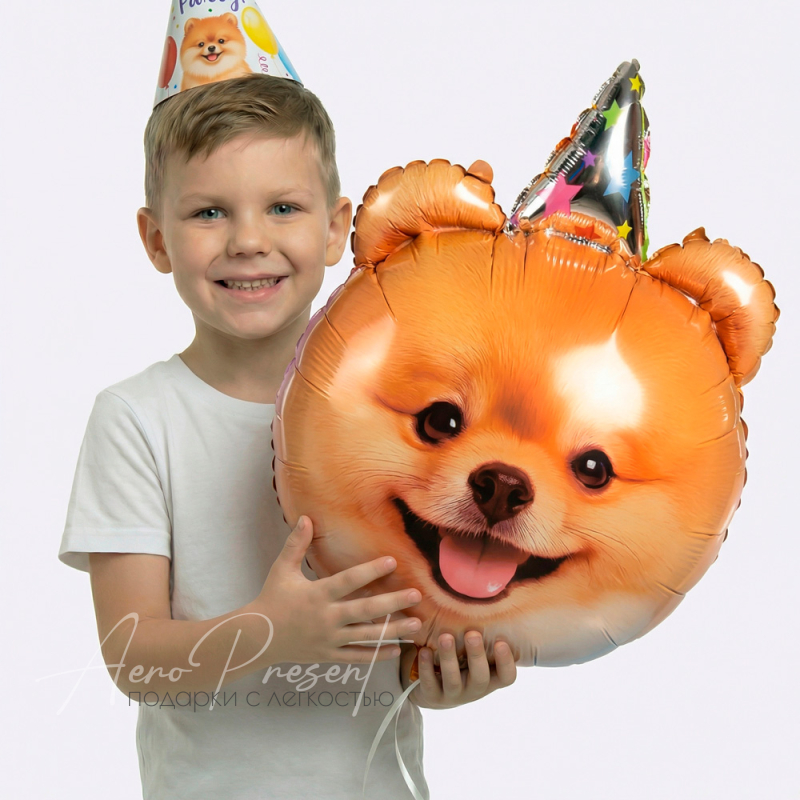 Фольгированный шар Фигура, Собачка в колпаке