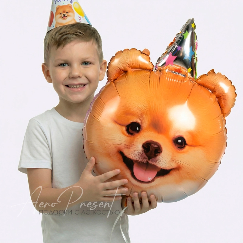 Фольгированный шар Фигура, Собачка в колпаке