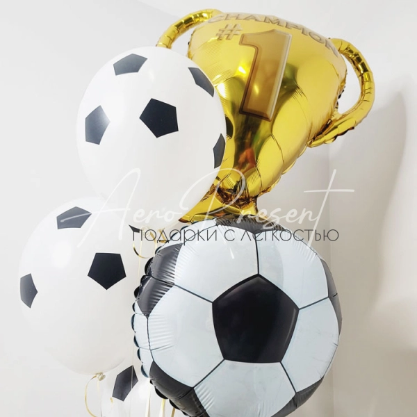 Набор "Чемпиону футбола"