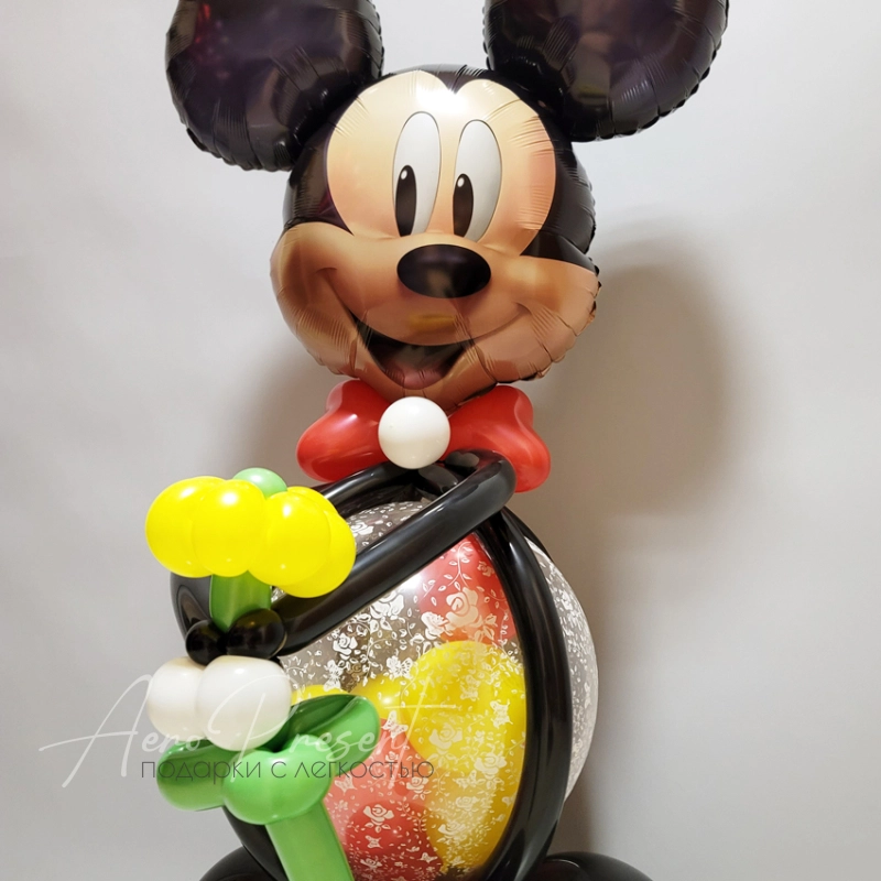 Микки, фигура