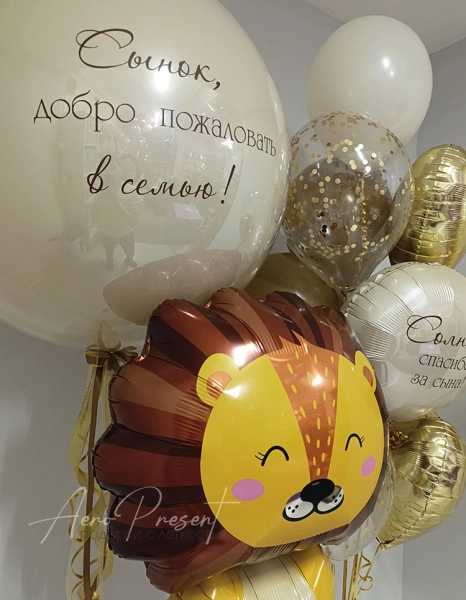 Набор на выписку мальчика с львенком