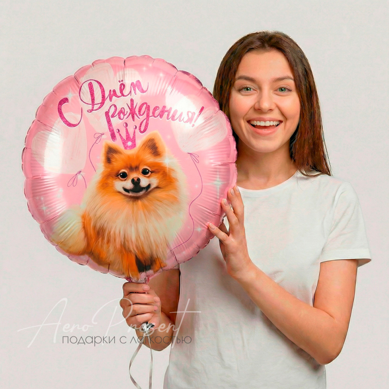 Фольгированный шар Круг, С Днем Рождения со шпицем