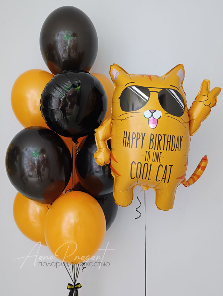 Набор шаров "Крутой кот"