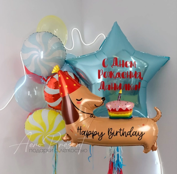 Набор "Яркая такса"