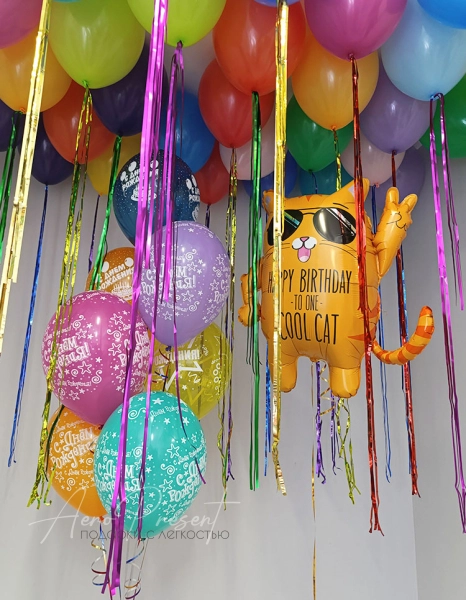 Набор шаров "Яркий котофей"