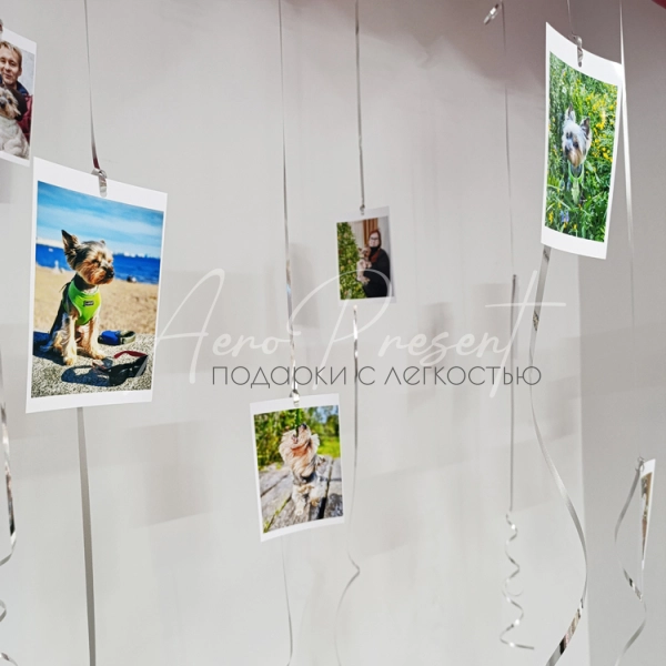 Шары с вашими фотографиями "Яркие воспоминания" Шары с вашими фотографиями "Яркие воспоминания"