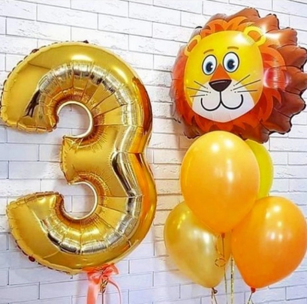 Набор "Добрый Лев"