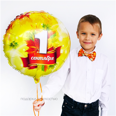 Круглый фольгированный шар 1 сентября