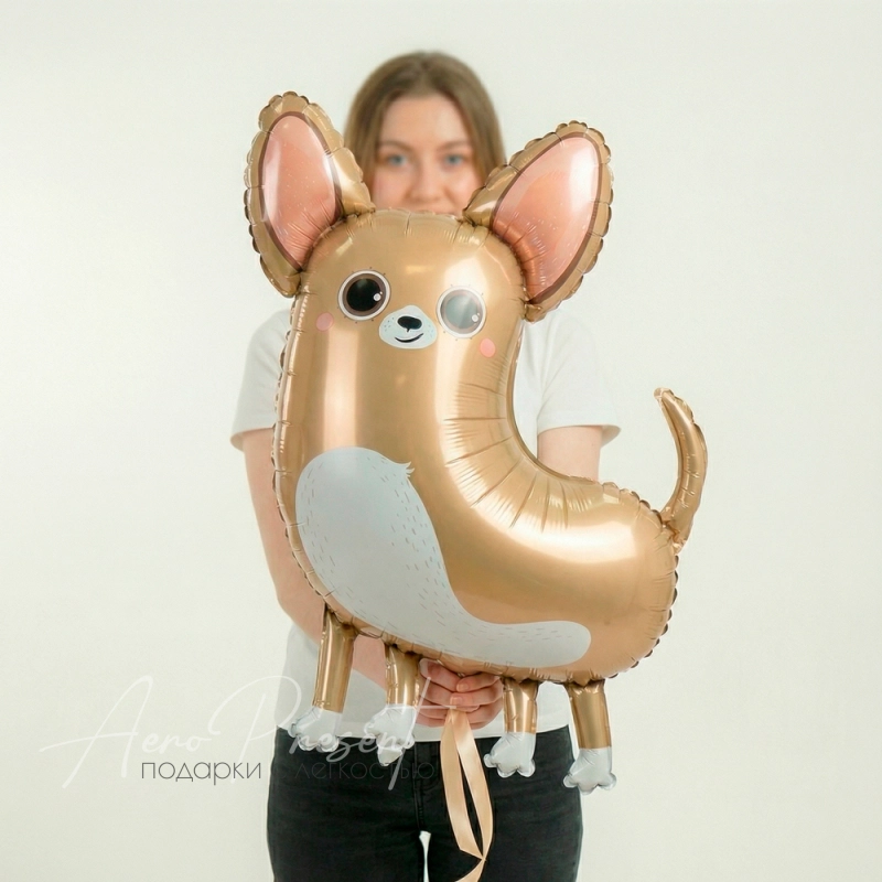 Чихуахуа, фольгированный шар