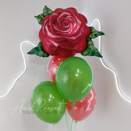 Набор воздушных шаров "Лепестки любви"