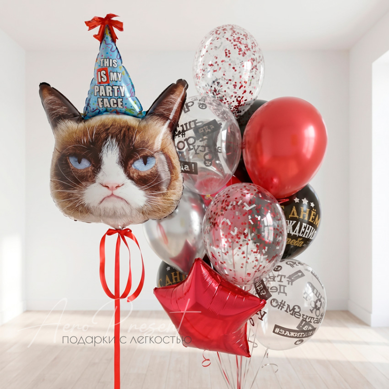 Набор шаров "Угрюмый котик"