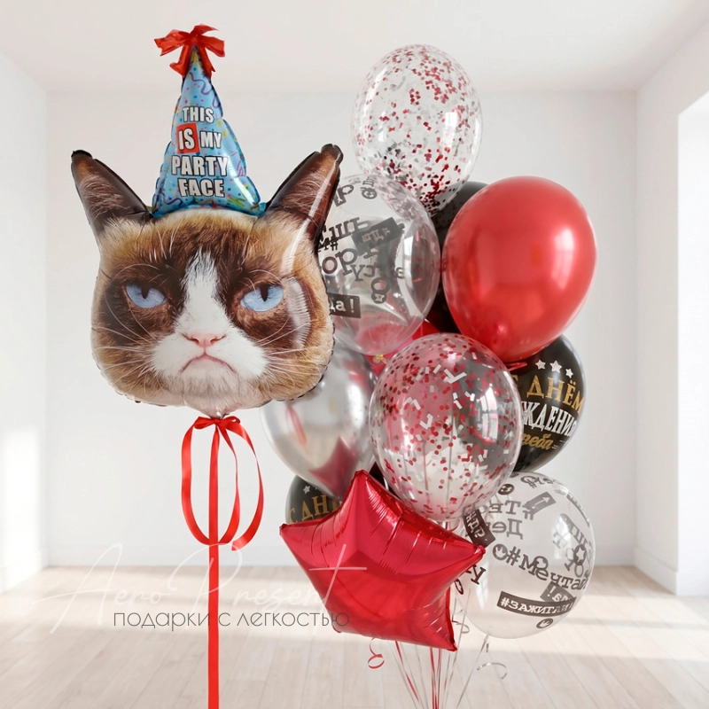 Набор шаров "Угрюмый котик"
