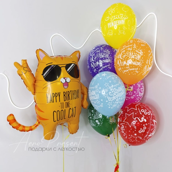 С Днём Рождения, крутой кот!