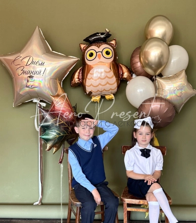 Набор "Мудрая сова"