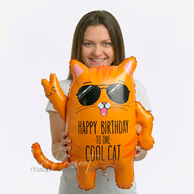 Фольгированный шар Крутой кот
