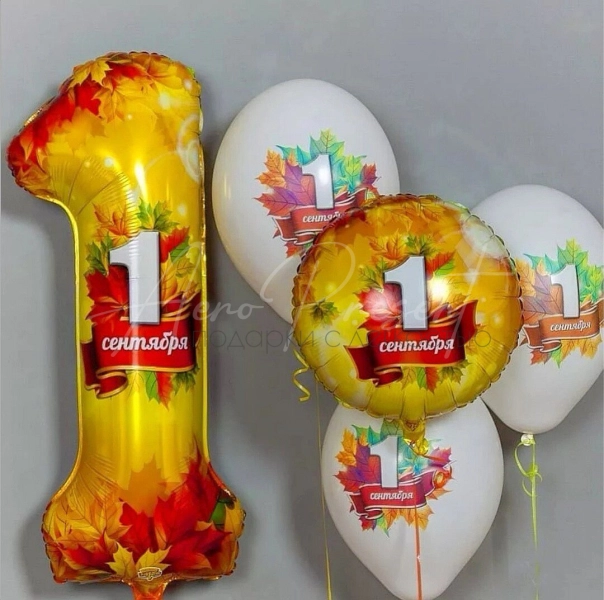 Набор с цифрой "День знаний"