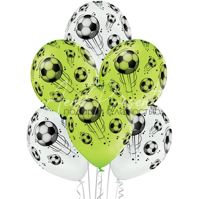 Футбольные мячи