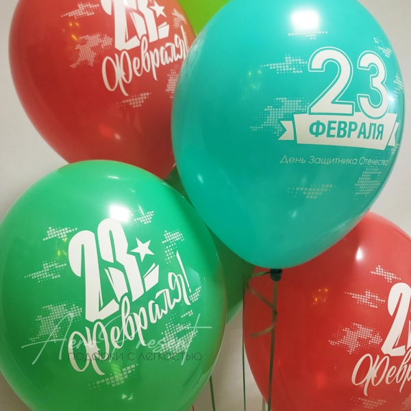 Шары "С днем защитника Отечества"