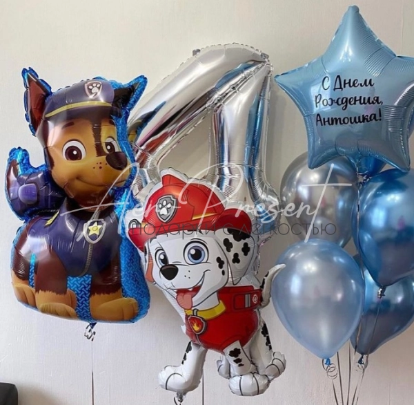 Набор "Гончик и Маршал"