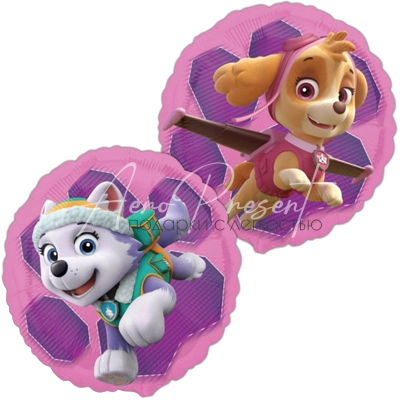 Щенячий патруль Скай и Эверест, фольгированный шар