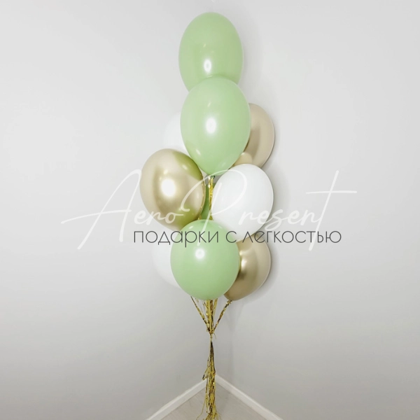 Букет шаров "Робуста"