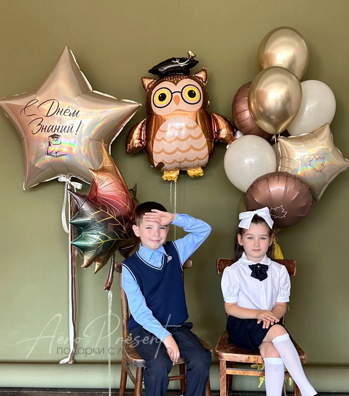 Набор "Мудрая сова"