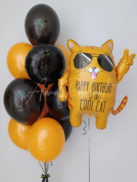 Набор шаров "Крутой кот"