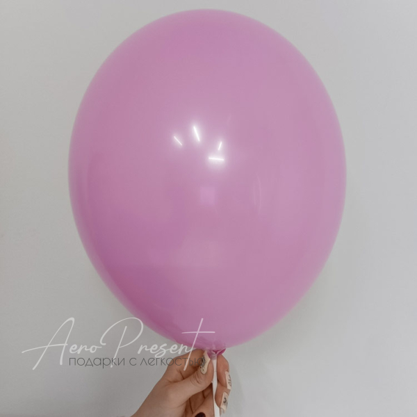 Цикламен пастель