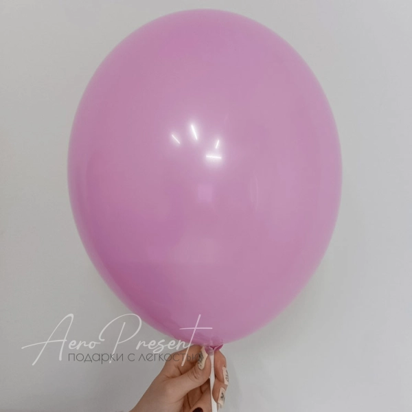 Цикламен пастель