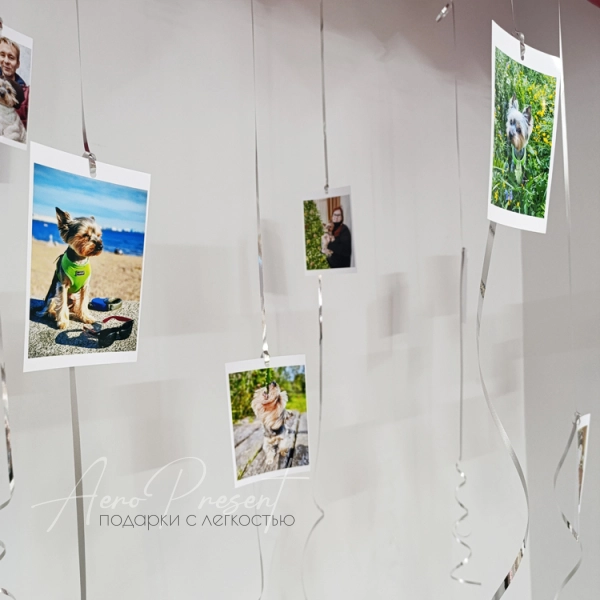 Шары на потолок с вашими фотографиями