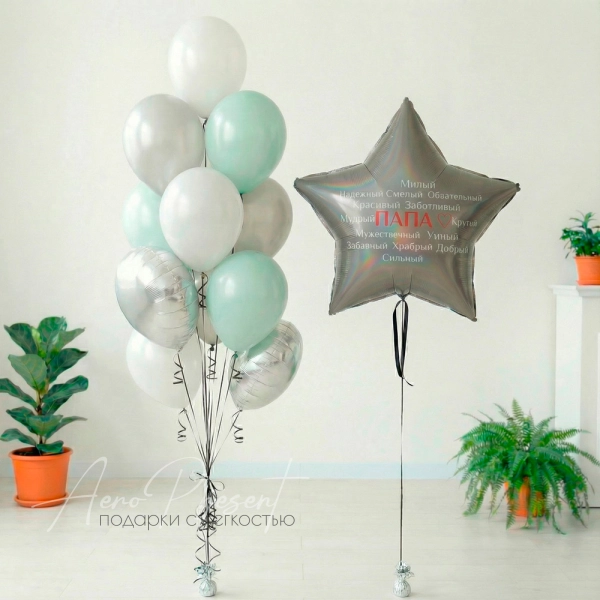 Набор шаров для папы "Полярная звезда"