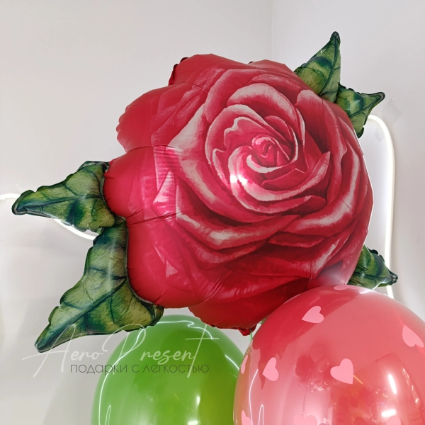 Набор воздушных шаров "Лепестки любви"