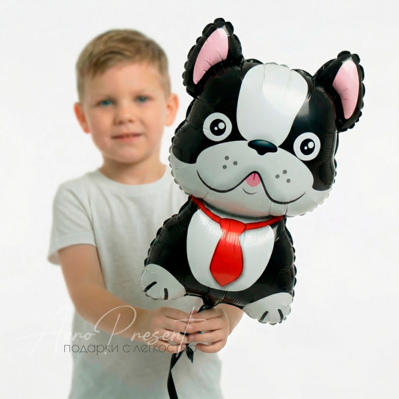 Бульдог черный, фольгированный шар