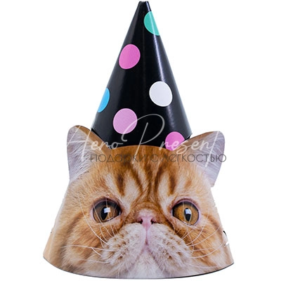 Колпак Котики фотографичные 6шт