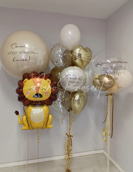 Набор на выписку мальчика с львенком