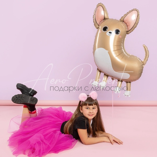 Чихуахуа, фольгированный шар