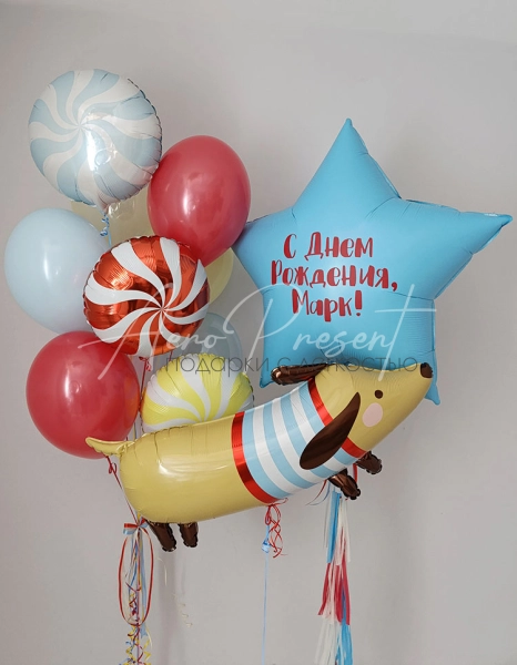 Набор "Яркая такса"