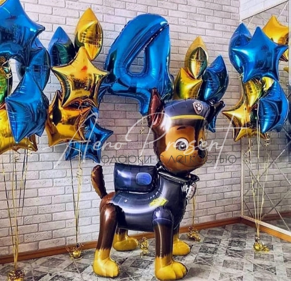 Набор "Звездный Патруль"