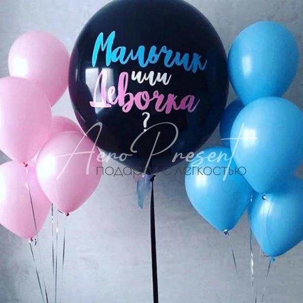 Набор "Мальчик или девочка?"