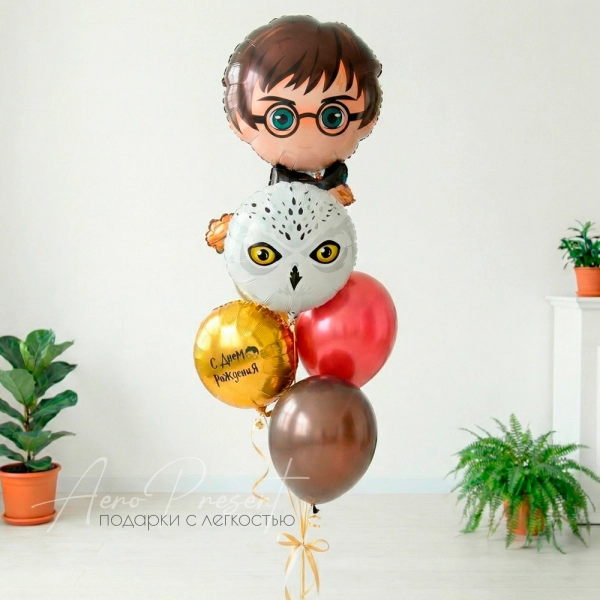 Набор шаров "Гарри и Букля"