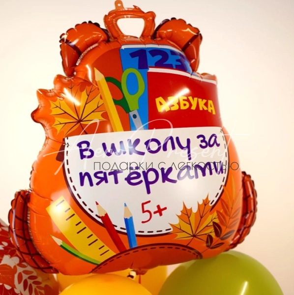 Фольгированный шар "В школу за пятерками"